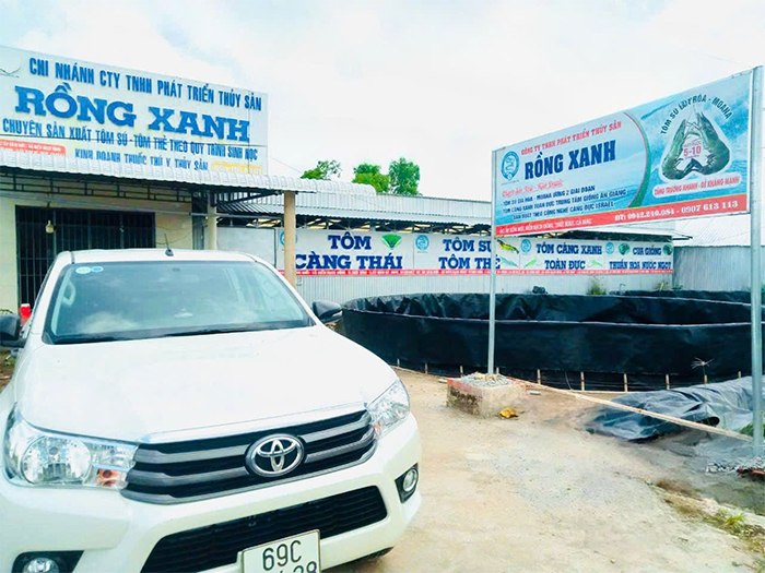 tom-giong-rong-xanh-gt