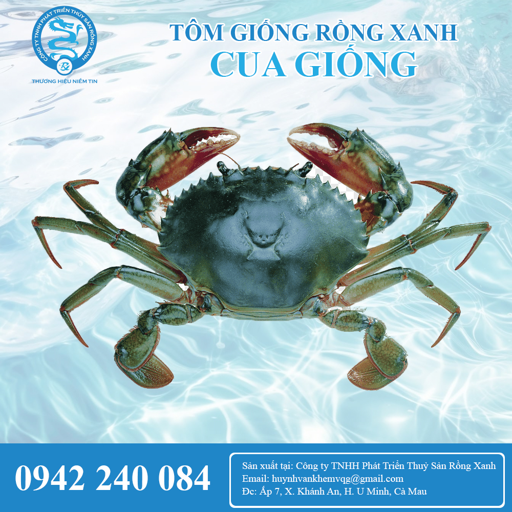 Cua giống cua tiêu, cua me, cua mít